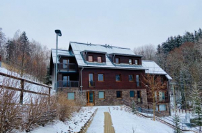 Útulný apartmán v srdci Krkonoš se saunou, Jablonec Nad Jizerou